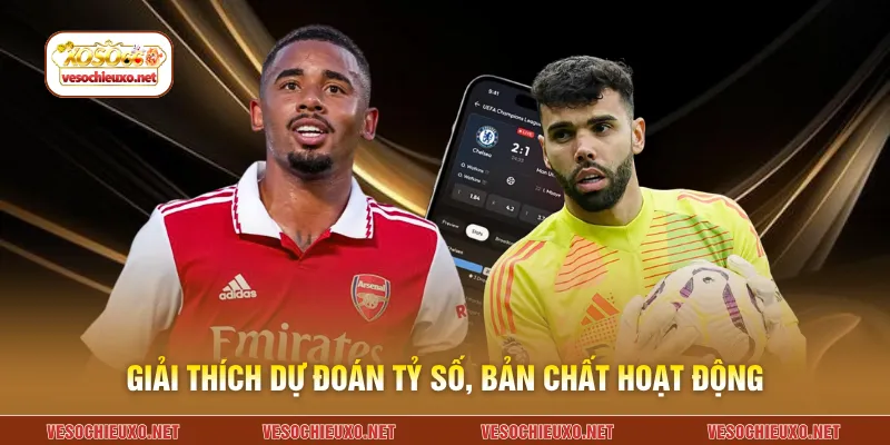 Giải thích dự đoán tỷ số, bản chất hoạt động